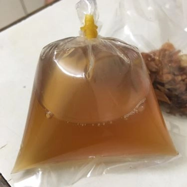 Món ăn- Quán Ăn Bánh Cuốn Song Mộc - Vườn Chuối