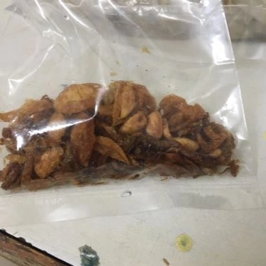 Món ăn- Quán Ăn Bánh Cuốn Song Mộc - Vườn Chuối
