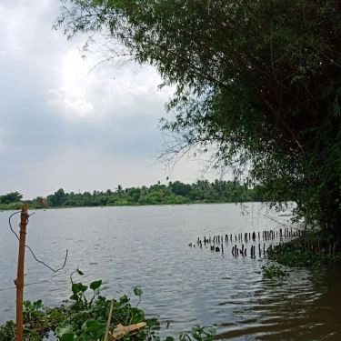 Tổng hợp- Song Nhi - Quán Ăn Gia Đình