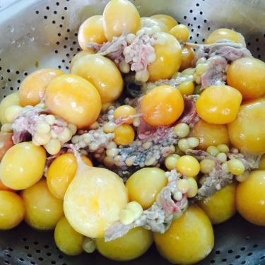 Tổng hợp- Quán Ăn Song Phụng - Gà Không Lối Thoát