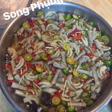 Tổng hợp- Quán Ăn Song Phụng - Gà Không Lối Thoát