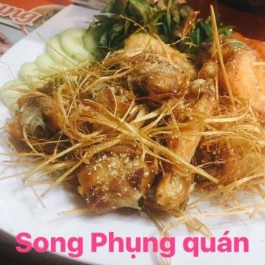 Tổng hợp- Quán Ăn Song Phụng - Gà Không Lối Thoát