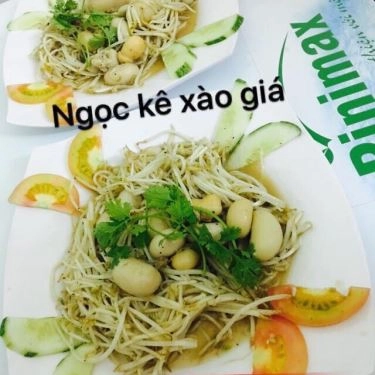 Tổng hợp- Quán Ăn Song Phụng - Gà Không Lối Thoát