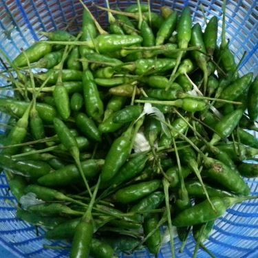Món ăn- Quán Ăn Sông Vệ Quán - Đặc Sản Miền Trung