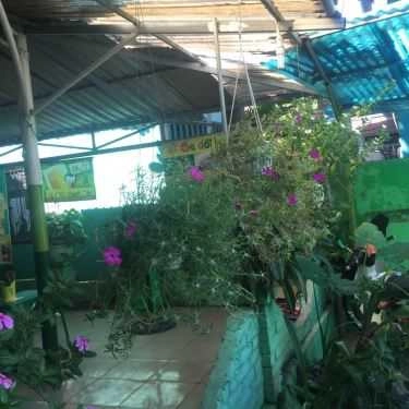 Tổng hợp- Quán Ăn Sương Sa Dừa - Mai Thúc Loan