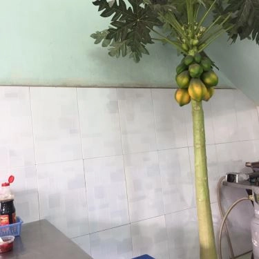 Tổng hợp- Quán Ăn Súp Cua Hạnh - Nguyễn Thái Sơn