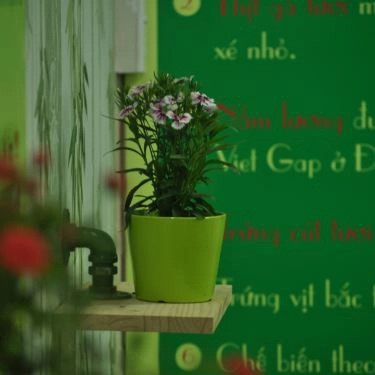 Tổng hợp- Quán Ăn Súp Cua Soup Bông - Trường Sa