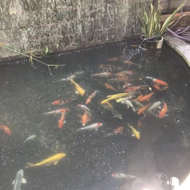 Tổng hợp- Quán Ăn Sushi Nhớ