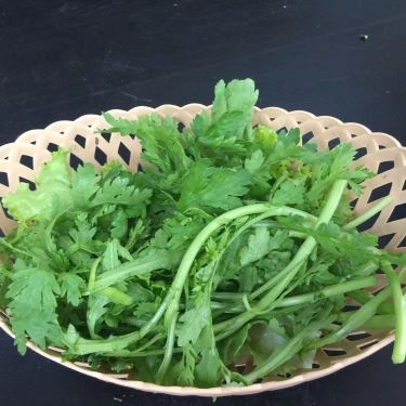 Món ăn- Quán Ăn Tam Bảo - Điểm Tâm Chay