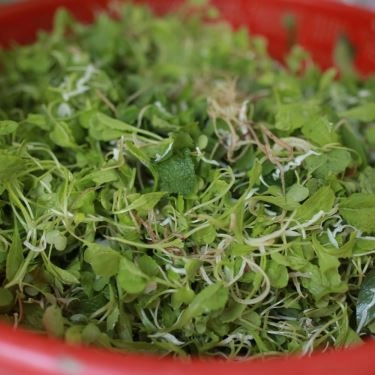 Tổng hợp- Quán Ăn Tâm Bảo - Mì Quảng Phú Chiêm
