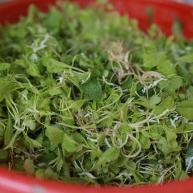 Tổng hợp- Quán Ăn Tâm Bảo - Mì Quảng Phú Chiêm