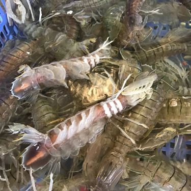Tổng hợp- Nhà Hàng Tân Ngọc Nữ Quán - Hải Sản & Đồng Quê