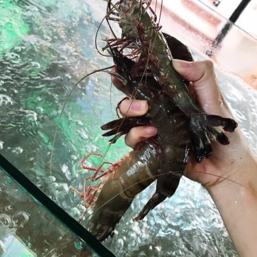 Tổng hợp- Nhà Hàng Tân Ngọc Nữ Quán - Hải Sản & Đồng Quê