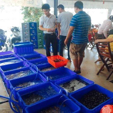 Tổng hợp- Nhà Hàng Tân Ngọc Nữ Quán - Hải Sản & Đồng Quê