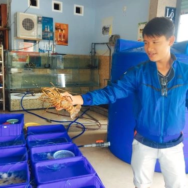 Tổng hợp- Nhà Hàng Tân Ngọc Nữ Quán - Hải Sản & Đồng Quê