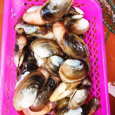 Tổng hợp- Nhà Hàng Tân Ngọc Nữ Quán - Hải Sản & Đồng Quê
