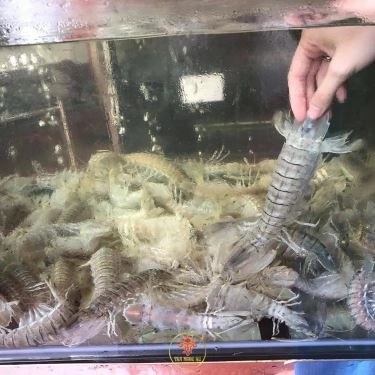 Tổng hợp- Nhà Hàng Tân Ngọc Nữ Quán - Hải Sản & Đồng Quê