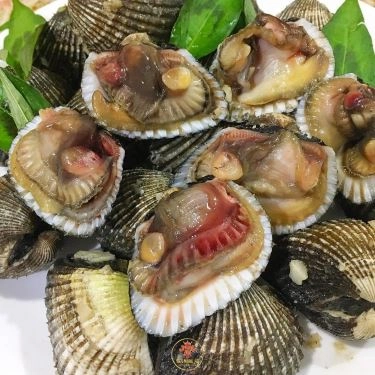 Tổng hợp- Nhà Hàng Tân Ngọc Nữ Quán - Hải Sản & Đồng Quê