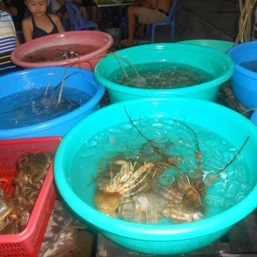 Tổng hợp- Quán Ăn Hải Sản Thanh Hiền