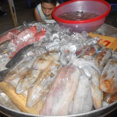 Tổng hợp- Quán Ăn Hải Sản Thanh Hiền