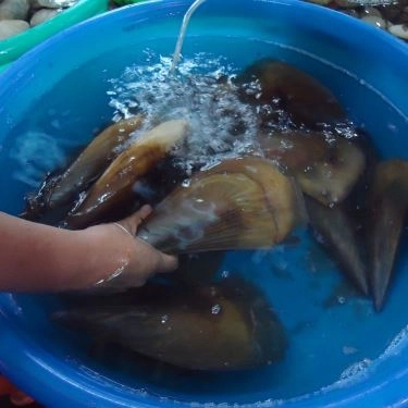 Tổng hợp- Quán Ăn Hải Sản Thanh Hiền