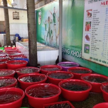 Tổng hợp- Quán Ăn Thanh Hiền - Hải Sản Tự Chọn