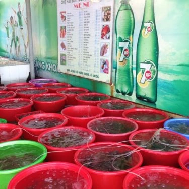 Tổng hợp- Quán Ăn Thanh Hiền - Hải Sản Tự Chọn