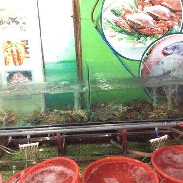 Tổng hợp- Quán Ăn Thanh Hiền - Hải Sản Tự Chọn