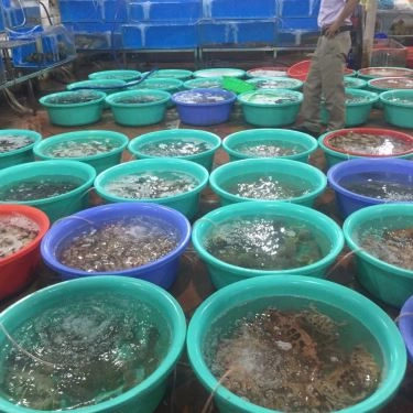 Tổng hợp- Quán Ăn Thanh Hiền - Hải Sản Tự Chọn