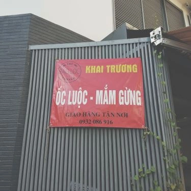 Tổng hợp- Quán Ăn The Bao Loc Corner - Ốc Luộc Mắm Gừng