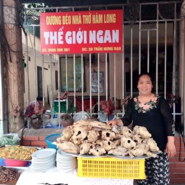 Tổng hợp- Quán Ăn Dương Béo - Thế Giới Ngan - Ngô Quyền