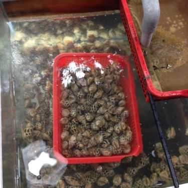 Tổng hợp- Quán Ăn Thiên Thanh Quán - Hải Sản Chợ Đêm