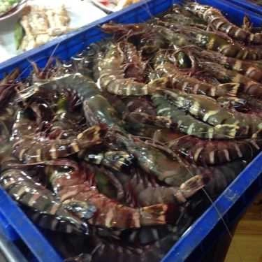 Tổng hợp- Quán Ăn Thiên Thanh Quán - Hải Sản Chợ Đêm