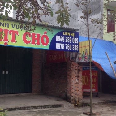Tổng hợp- Quán Ăn Anh Vượng - Thịt Chó Đủ Món
