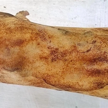 Tổng hợp- Nhà Hàng Thịt Thỏ 91