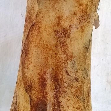 Tổng hợp- Nhà Hàng Thịt Thỏ 91