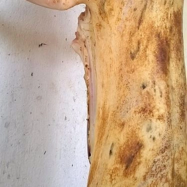 Tổng hợp- Nhà Hàng Thịt Thỏ 91