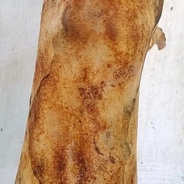 Tổng hợp- Nhà Hàng Thịt Thỏ 91