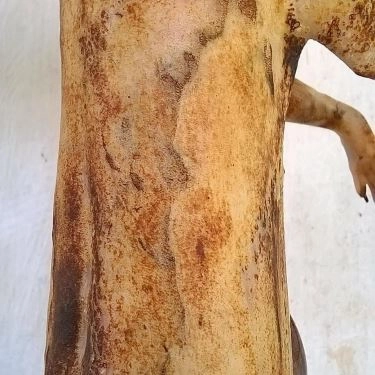 Tổng hợp- Nhà Hàng Thịt Thỏ 91