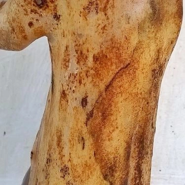 Tổng hợp- Nhà Hàng Thịt Thỏ 91