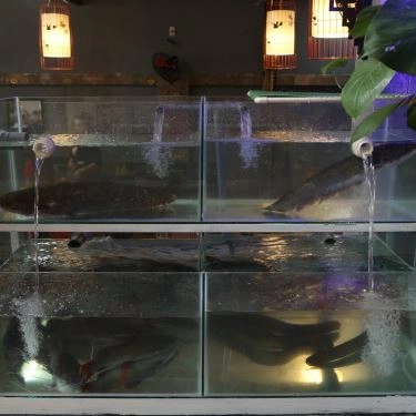 Tổng hợp- Nhà Hàng Thống Gia Restaurant - Ẩm Thực Dân Dã
