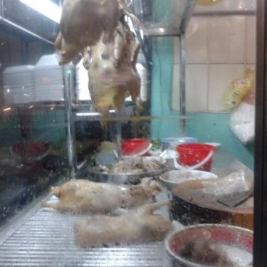 Món ăn- Quán Ăn Thu Nga - Cháo vịt Thanh Đa