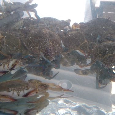 Tổng hợp- Quán Ăn Thuận Long - Ẩm Thực Gia Đình