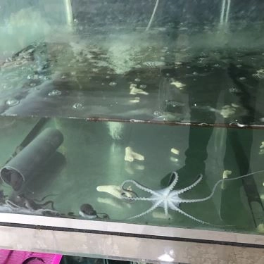 Tổng hợp- Quán Ăn Thùy Dương - Lẩu & Hải Sản Các Món