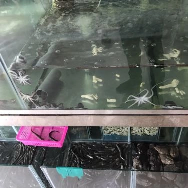 Tổng hợp- Quán Ăn Thùy Dương - Lẩu & Hải Sản Các Món