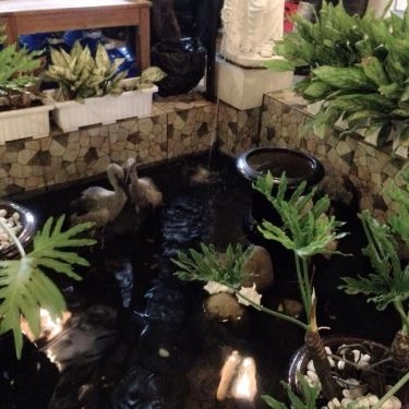 Tổng hợp- Quán Ăn Nhà Hàng Thủy - Tôm Sauna
