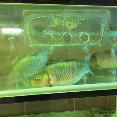 Tổng hợp- Quán Ăn Nhà Hàng Thủy - Tôm Sauna