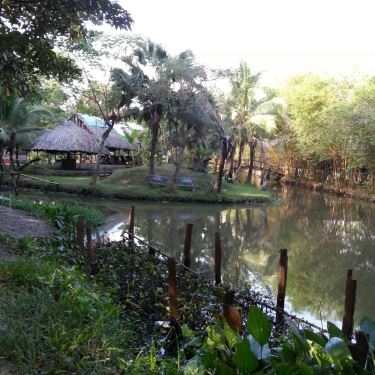 Không gian- Quán Ăn Thủy Trúc Quán - Du Lịch Sinh Thái Bình Mỹ