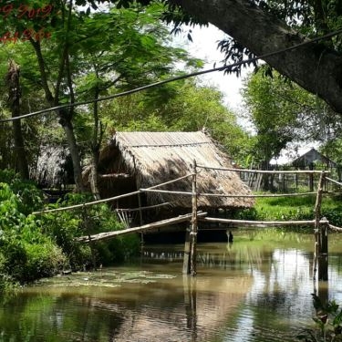 Tổng hợp- Quán Ăn Thủy Trúc Quán - Du Lịch Sinh Thái Bình Mỹ