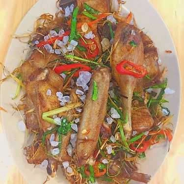Món ăn- Thuỷ Vịt - Vịt Cỏ Vân Đình